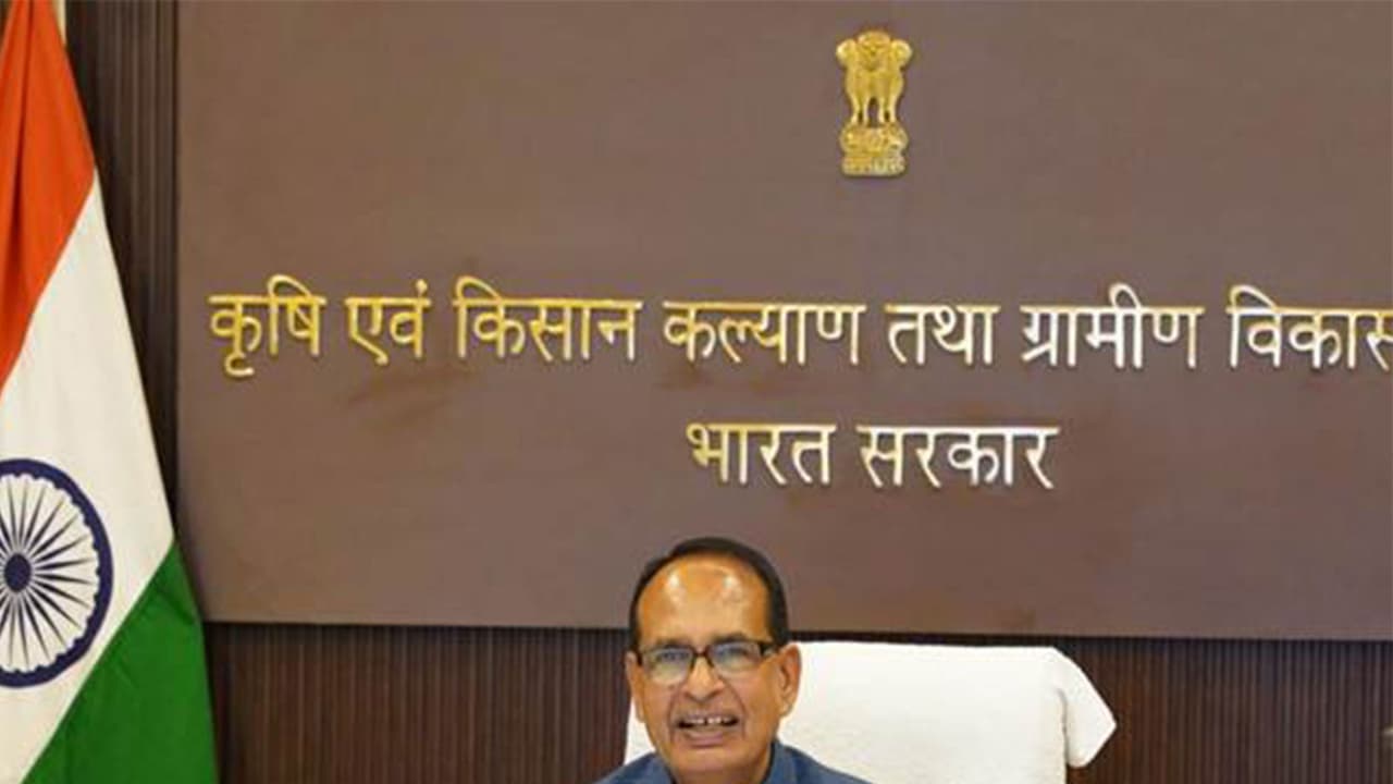 Centre's big relief for farmers: Potato, chana, tur procurement get nod