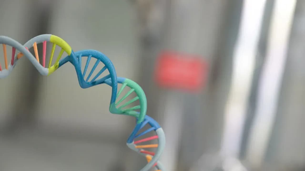 Genenta Science Shares Soar 300% on New Gene Therapy Collaboration Breakthrough