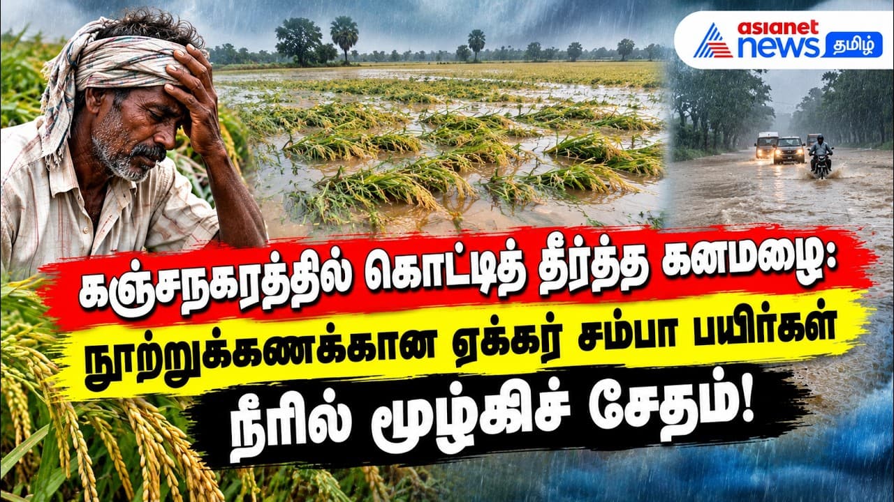 கஞ்சநகரத்தில் கொட்டித் தீர்த்த கனமழை: நூற்றுக்கணக்கான ஏக்கர் சம்பா பயிர்கள் நீரில் மூழ்கிச் சேதம்!