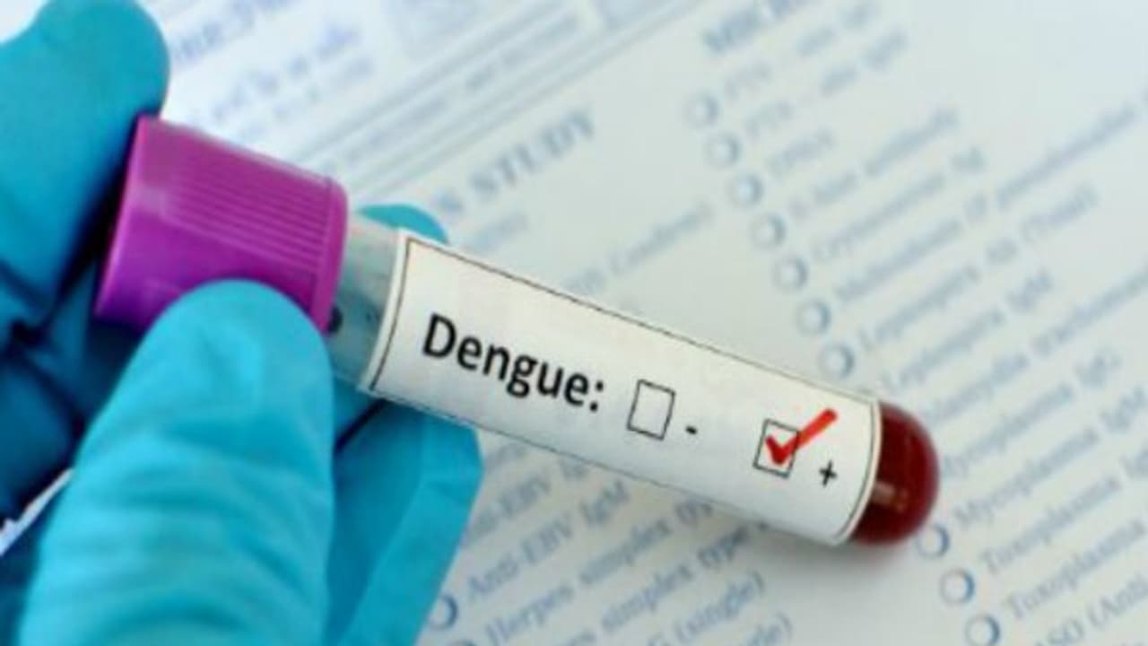 গত বছরের হিসাব বলছে শহরের এই এলাকায় ব্যপকভাবে ছড়িয়ে পড়েছিল টাইপ টু ডেঙ্গু গত বছরের হিসাব বলছে শহরের এই এলাকায় ব্যপকভাবে ছড়িয়ে পড়েছিল টাইপ টু ডেঙ্গু