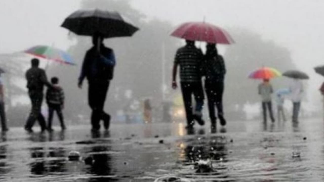 தமிழகத்தில் மழை பெய்யும் ; ஆனால் சென்னையில் இல்லையாம்... வானிலை ஆய்வு மையம் தகவல்... தமிழகத்தில் மழை பெய்யும் ; ஆனால் சென்னையில் இல்லையாம்... வானிலை ஆய்வு மையம் தகவல்...