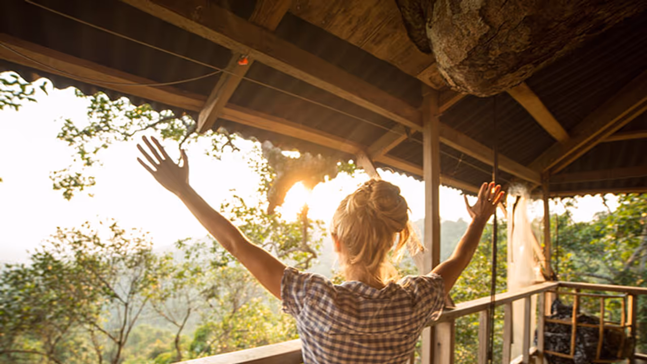 Tree house in Barmer for environment protection message Tree house in Barmer for environment protection message