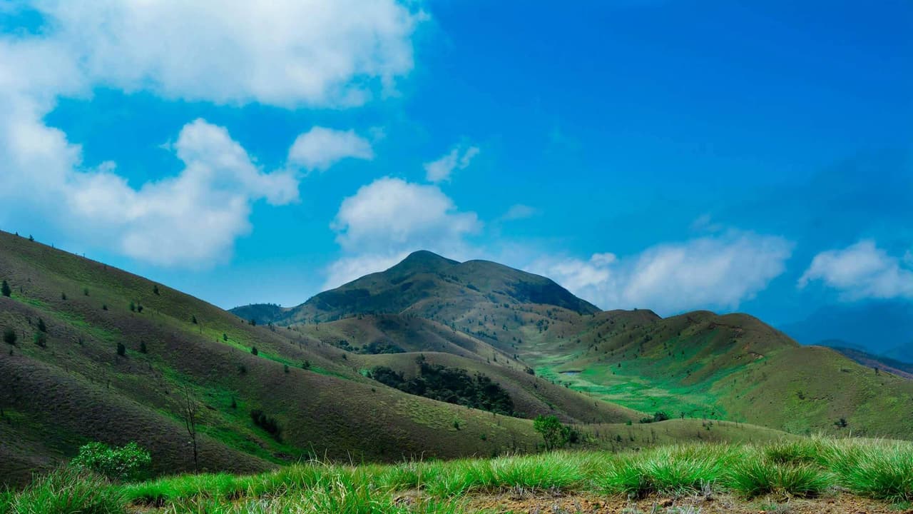 മീശപ്പുലിമലയിലെത്തുന്ന സഞ്ചാരികള്ക്ക് വാഹനങ്ങളൊരുക്കി വനംവകുപ്പ് മീശപ്പുലിമലയിലെത്തുന്ന സഞ്ചാരികള്ക്ക് വാഹനങ്ങളൊരുക്കി വനംവകുപ്പ്