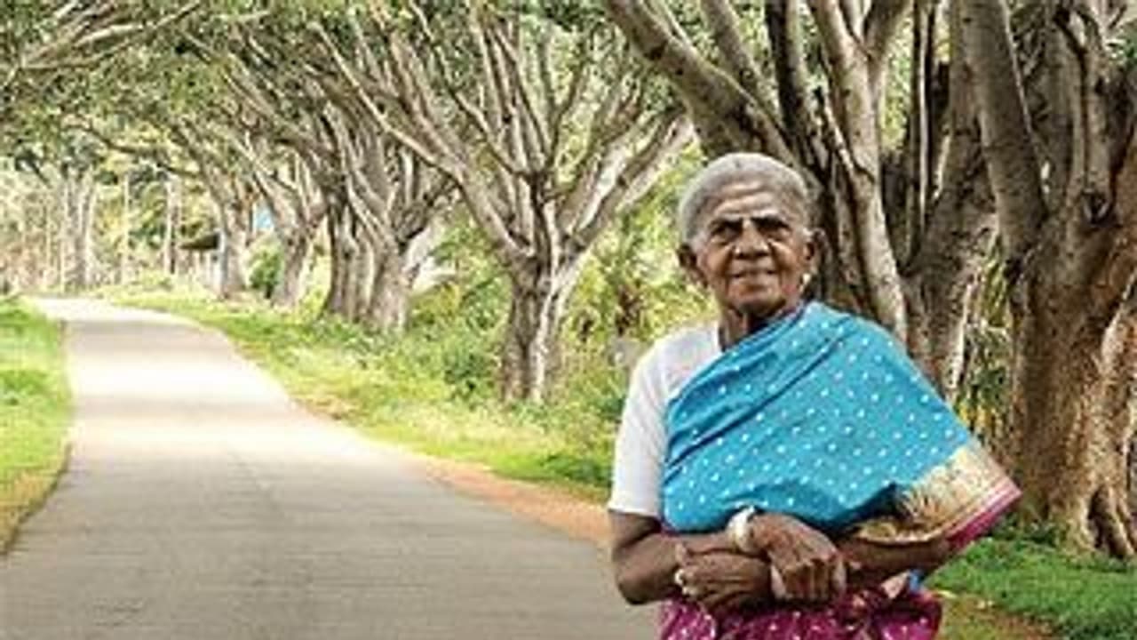 ಜುಲೈ 23 ರಂದು ಪದ್ಮಶ್ರೀ ಸಾಲು ಮರದ ತಿಮ್ಮಕ್ಕ ಉಡುಪಿಗೆ, 15 ಸಾವಿರ ಸಸಿ ವಿತರಣೆ