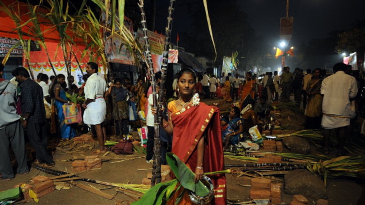 சகோதரர்களின் நலனுக்காக கொண்டாடப்படும் காணும் பொங்கல்! சகோதரர்களின் நலனுக்காக கொண்டாடப்படும் காணும் பொங்கல்!