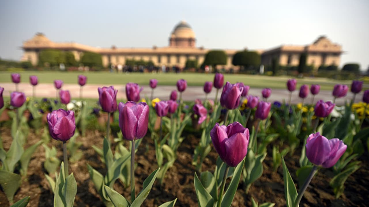 రాష్ట్రపతి భవన్లోని మొఘల్ గార్డెన్స్ పేరు మార్చిన కేంద్రం.. ఇకపై అది ‘‘అమృత్ ఉద్యాన్’’ రాష్ట్రపతి భవన్లోని మొఘల్ గార్డెన్స్ పేరు మార్చిన కేంద్రం.. ఇకపై అది ‘‘అమృత్ ఉద్యాన్’’