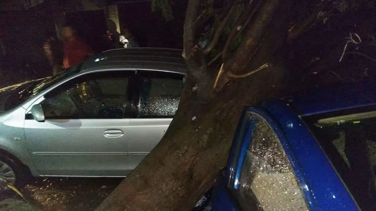 At least 53 people killed across India due to dust storms and thunderstorms At least 53 people killed across India due to dust storms and thunderstorms