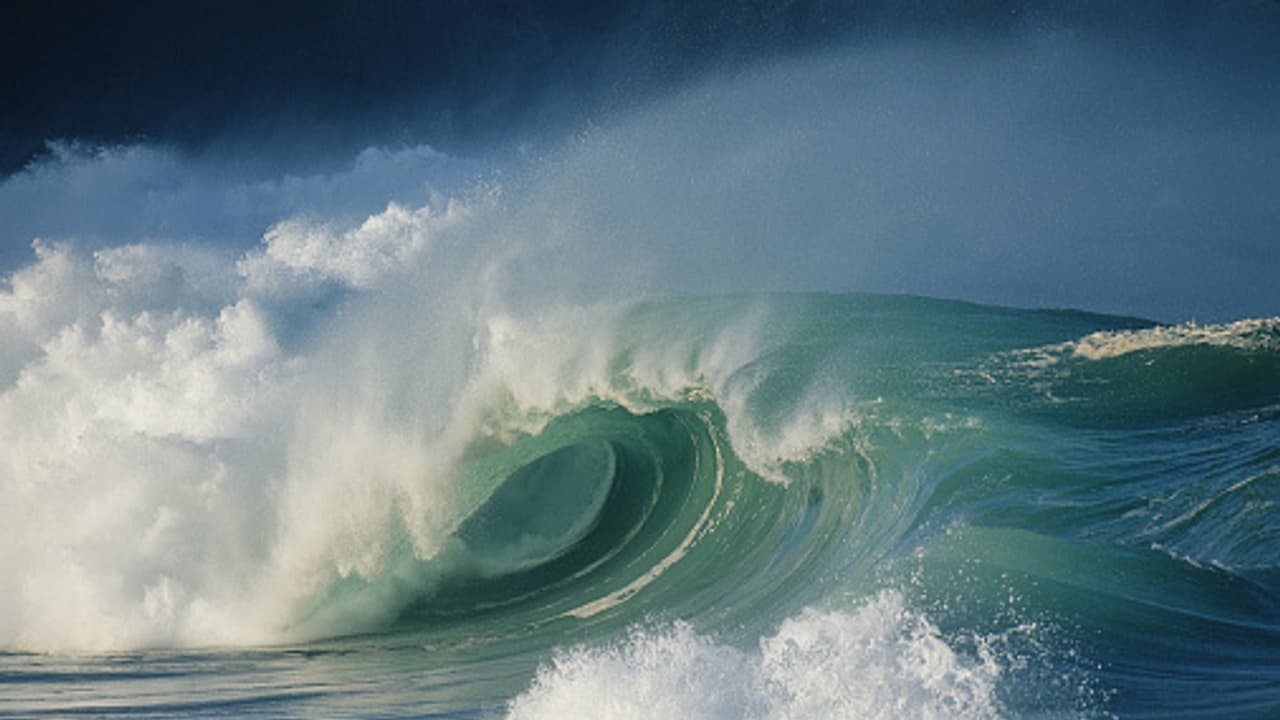 పాస్పోర్టు లేదని.. పసిఫిక్ మహా సముద్రాన్ని ఈది దేశాన్నే దాటేశాడు! ఆ దేశంలో కొత్త చిక్కులు.. పాస్పోర్టు లేదని.. పసిఫిక్ మహా సముద్రాన్ని ఈది దేశాన్నే దాటేశాడు! ఆ దేశంలో కొత్త చిక్కులు..