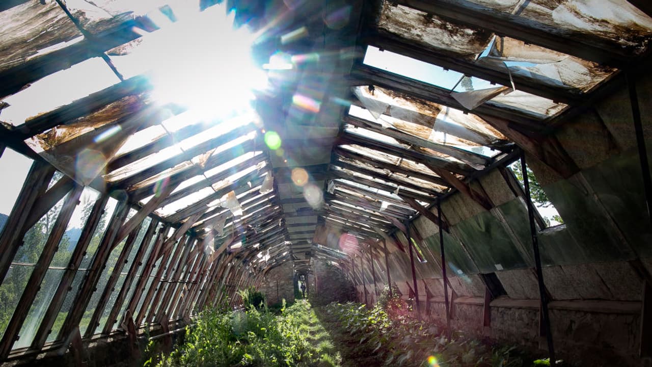 देश ने अक्षय उर्जा में 100 गीगावाट की ऐतिहासिक उपलब्धि की हासिलः सीआईआई