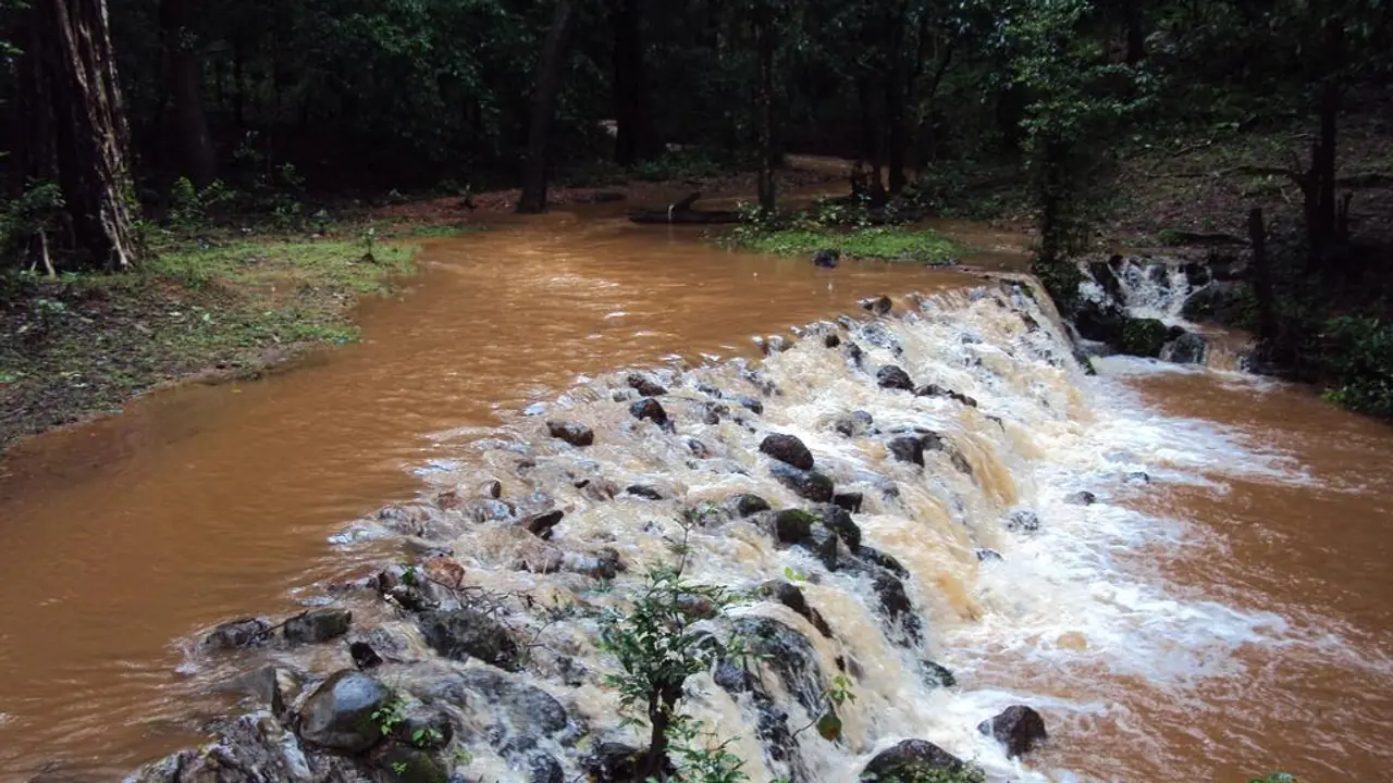 Monsoon in Kerala kills 10, heavy rains to lash the state till June 13 Monsoon in Kerala kills 10, heavy rains to lash the state till June 13