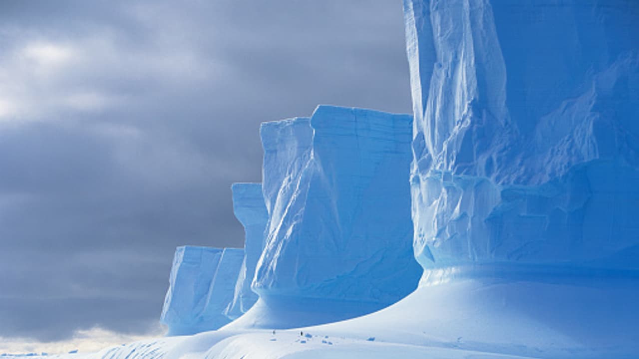 অ্যান্টার্কটিকায় নিখোঁজ সামরিক বিমান, জারি চরম সতর্কতা অ্যান্টার্কটিকায় নিখোঁজ সামরিক বিমান, জারি চরম সতর্কতা