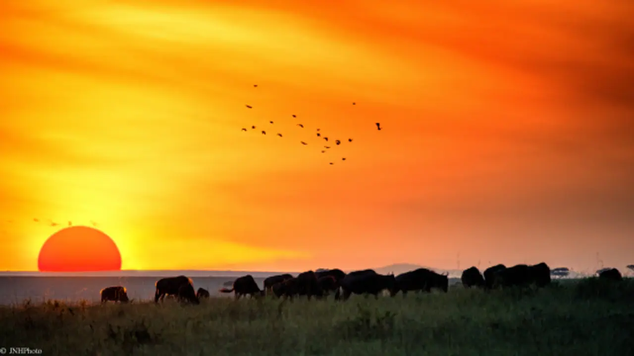 মসজিদেই চলত 'মগজ ধোলাই' র কাজ, পদ্মার চরে বসত বৈঠক মসজিদেই চলত 'মগজ ধোলাই' র কাজ, পদ্মার চরে বসত বৈঠক