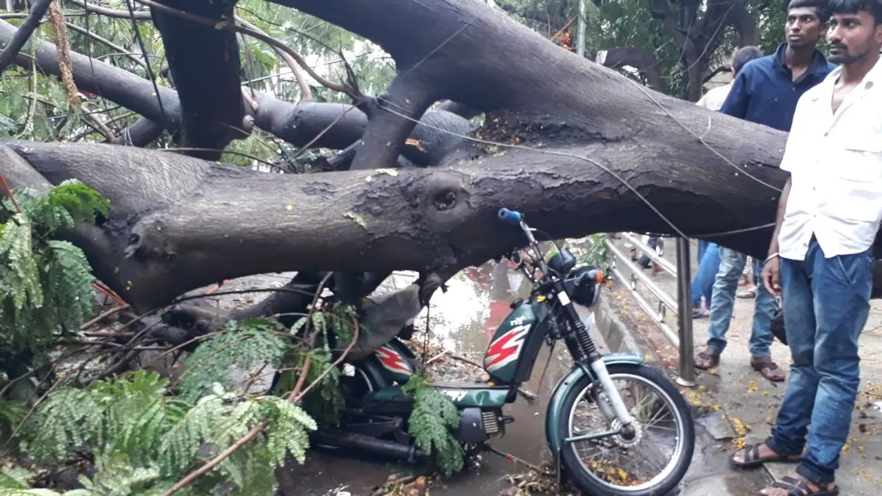 ಬೆಂಗಳೂರು ನಗರ ಸೇರಿ 15 ಜಿಲ್ಲೆಗಳಲ್ಲಿ ‘ಯೆಲ್ಲೋ ಅಲರ್ಟ್’, ಜೋರು ಮಳೆ ಎಚ್ಚರ ಬೆಂಗಳೂರು ನಗರ ಸೇರಿ 15 ಜಿಲ್ಲೆಗಳಲ್ಲಿ ‘ಯೆಲ್ಲೋ ಅಲರ್ಟ್’, ಜೋರು ಮಳೆ ಎಚ್ಚರ