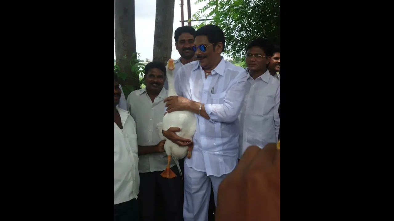 ఆనం వివేకానందరెడ్డి కన్నుమూత (వీడియో) ఆనం వివేకానందరెడ్డి కన్నుమూత (వీడియో)