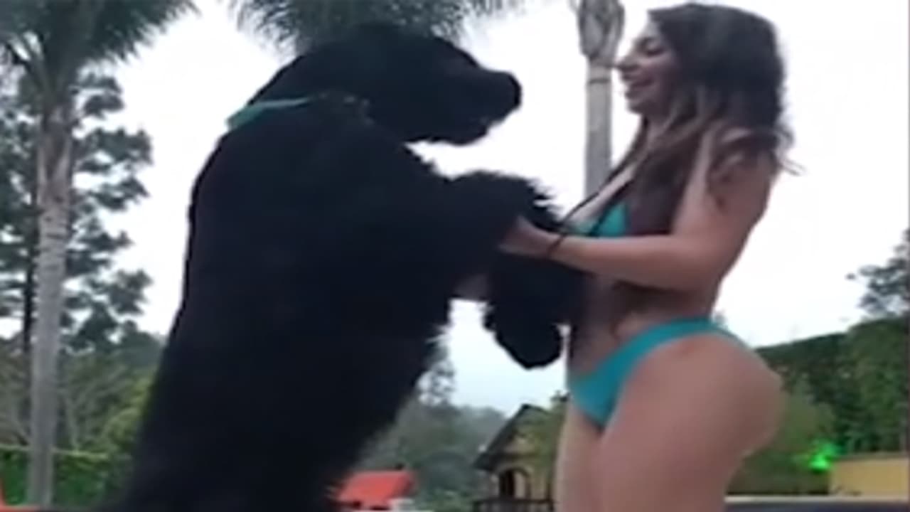 ನಾಯಿಗೆ ಕಾಮ ಪ್ರಚೋದನೆ : ಮಾಡೆಲ್ ವಿರುದ್ಧ ಕೇಸ್ ನಾಯಿಗೆ ಕಾಮ ಪ್ರಚೋದನೆ : ಮಾಡೆಲ್ ವಿರುದ್ಧ ಕೇಸ್