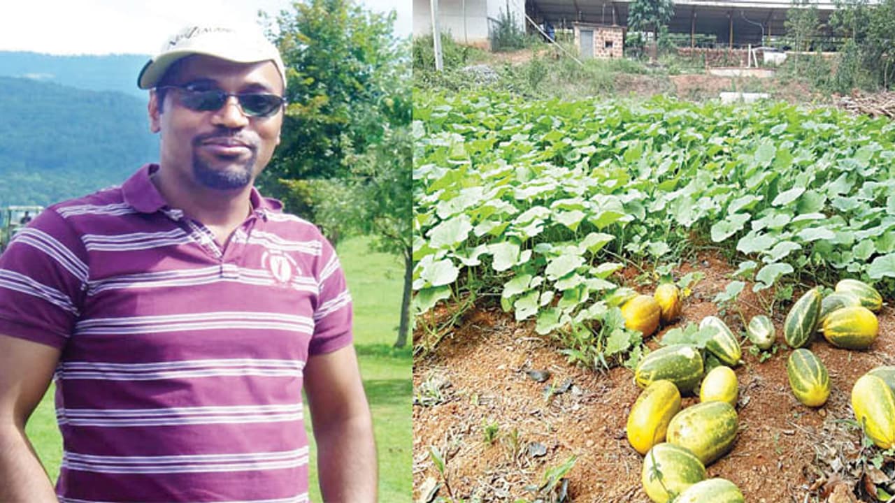 ಬೆಂಗಳೂರಿನ ಟ್ರಾಫಿಕ್ ಕಿರಿಕಿರಿಯಿಂದ ಬೇಸತ್ತು ಕೃಷಿಯತ್ತ ಮುಖ ಮಾಡಿದ ಯುವಕ