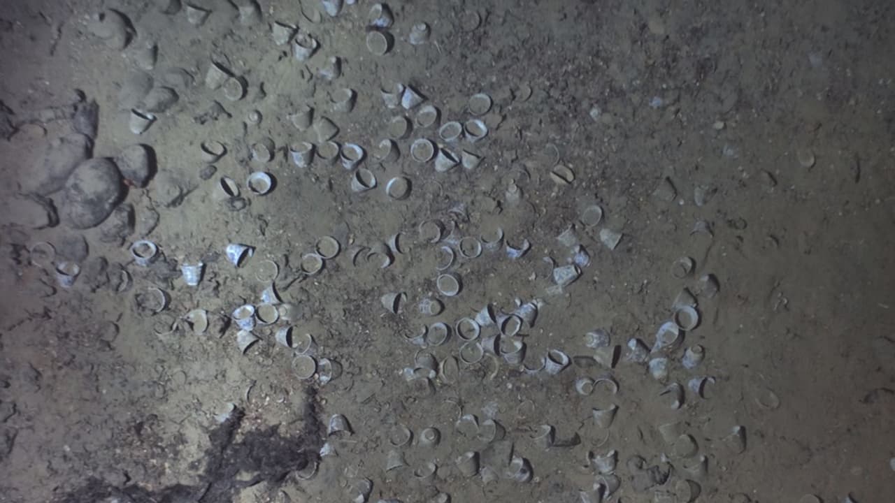 300 ವರ್ಷಗಳ ಹಿಂದೆ ಮುಳುಗಿದ ಹಡಗಲ್ಲಿ ಪತ್ತೆಯಾದ ಸಂಪತ್ತು..? 300 ವರ್ಷಗಳ ಹಿಂದೆ ಮುಳುಗಿದ ಹಡಗಲ್ಲಿ ಪತ್ತೆಯಾದ ಸಂಪತ್ತು..?