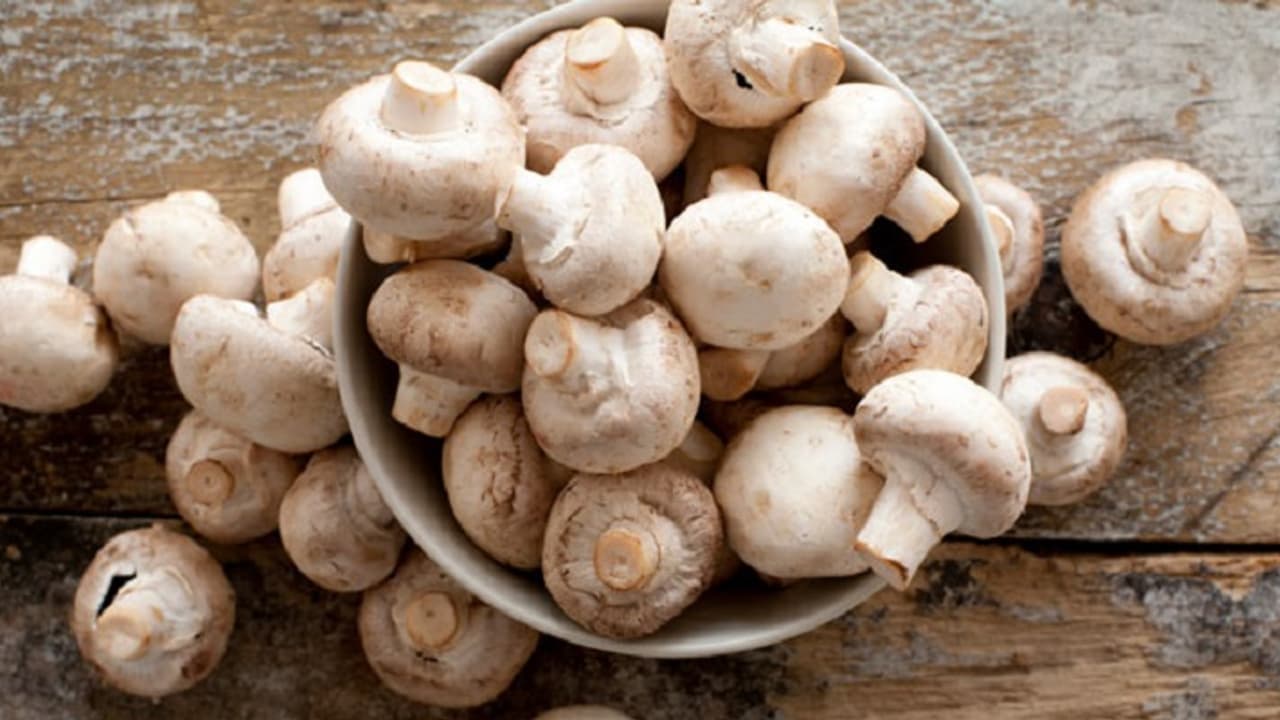 ಅಣಬೆಯ ಹಣೆಬರಹ ತಿಳಿದುಕೊಳ್ಳುವುದು ಹೇಗೆ? ಅಣಬೆಯ ಹಣೆಬರಹ ತಿಳಿದುಕೊಳ್ಳುವುದು ಹೇಗೆ?