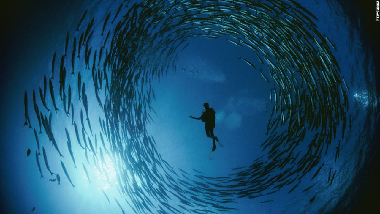 ಏಲಿಯನ್ ಹುಡುಕಾಟಕ್ಕೆ ಪೆಸಿಫಿಕ್ ಸಾಗರ ಧುಮುಕಲಿರುವ ನಾಸಾ..! ಏಲಿಯನ್ ಹುಡುಕಾಟಕ್ಕೆ ಪೆಸಿಫಿಕ್ ಸಾಗರ ಧುಮುಕಲಿರುವ ನಾಸಾ..!