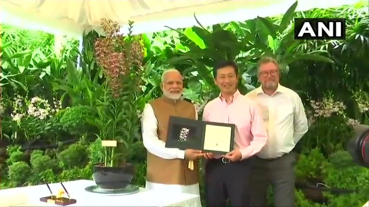 మొక్కకు ప్రధాని మోదీ పేరు మొక్కకు ప్రధాని మోదీ పేరు