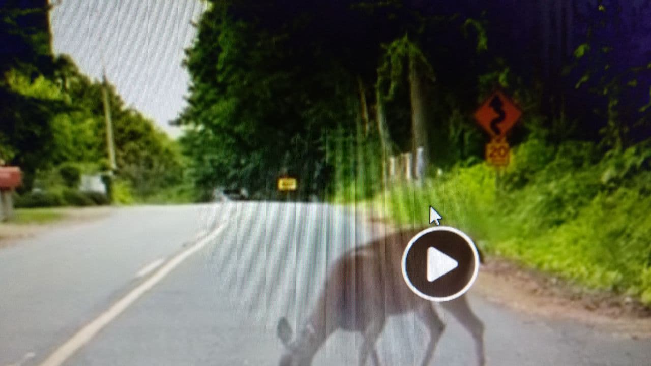 ಅಮ್ಮ ಅಂದ್ರೆ ಅಮ್ಮನೇ..ಹೃದಯಸ್ಪರ್ಶಿ ವಿಡಿಯೋ..! ಅಮ್ಮ ಅಂದ್ರೆ ಅಮ್ಮನೇ..ಹೃದಯಸ್ಪರ್ಶಿ ವಿಡಿಯೋ..!