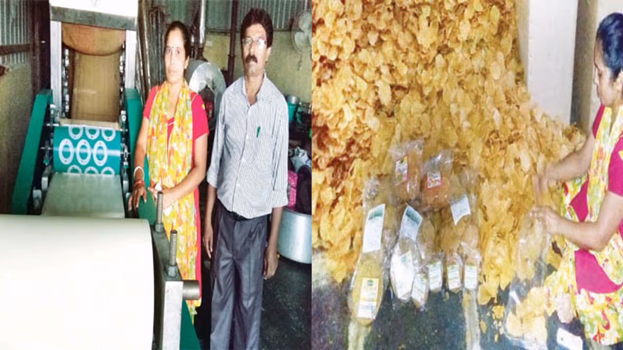 ಹಪ್ಪಳ ಮಾರಿ ತಿಂಗಳಿಗೆ 3 ಲಕ್ಷ ಆದಾಯ ಹಪ್ಪಳ ಮಾರಿ ತಿಂಗಳಿಗೆ 3 ಲಕ್ಷ ಆದಾಯ