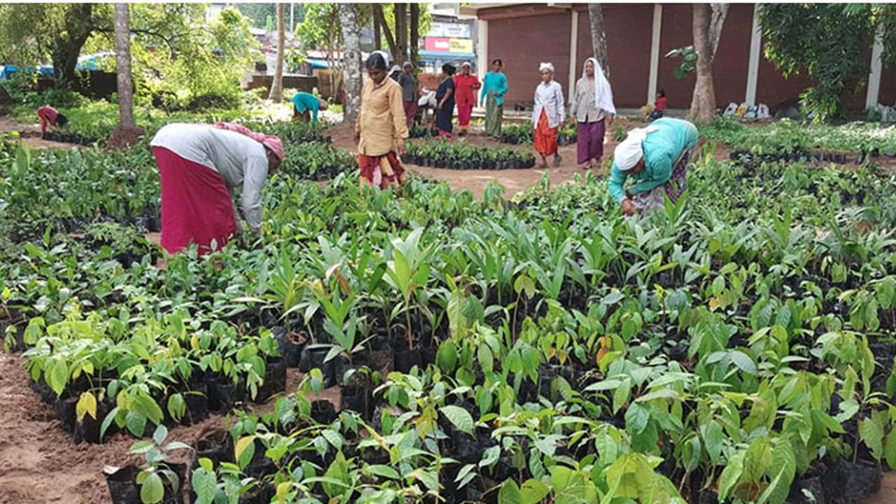 Kerala offices to be 100% environment friendly from today, here is how Kerala offices to be 100% environment friendly from today, here is how