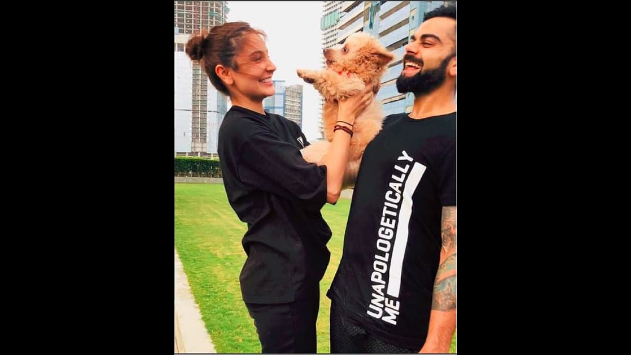 ಕೊಹ್ಲಿ ಅನುಷ್ಕಾ ಜೋಡಿಯ ಹೊಸ ಫ್ರೆಂಡ್ ಯಾರು? ಕೊಹ್ಲಿ ಅನುಷ್ಕಾ ಜೋಡಿಯ ಹೊಸ ಫ್ರೆಂಡ್ ಯಾರು?