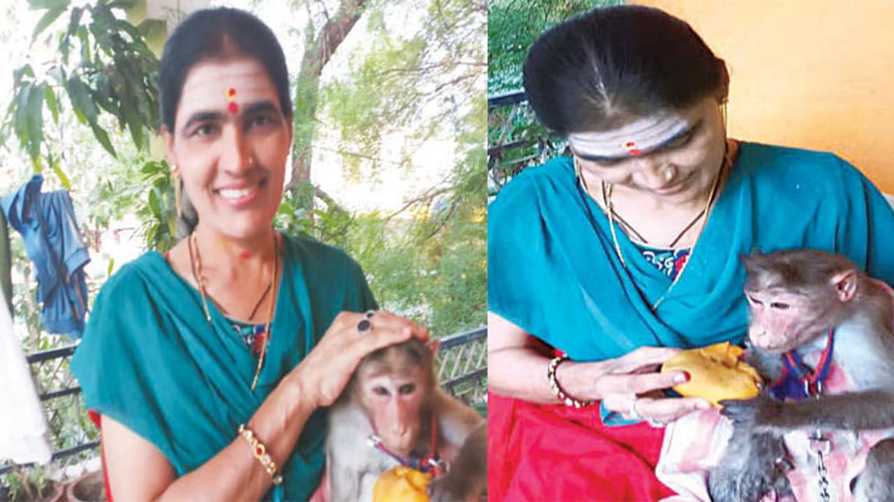 ಸಾವು ಬದುಕಿನ ನಡುವೆ ನರಳುತ್ತಿದ್ದ ಕೋತಿಗೆ ಅಮ್ಮನಾದರು ಈ ಮಹಾತಾಯಿ! ಸಾವು ಬದುಕಿನ ನಡುವೆ ನರಳುತ್ತಿದ್ದ ಕೋತಿಗೆ ಅಮ್ಮನಾದರು ಈ ಮಹಾತಾಯಿ!