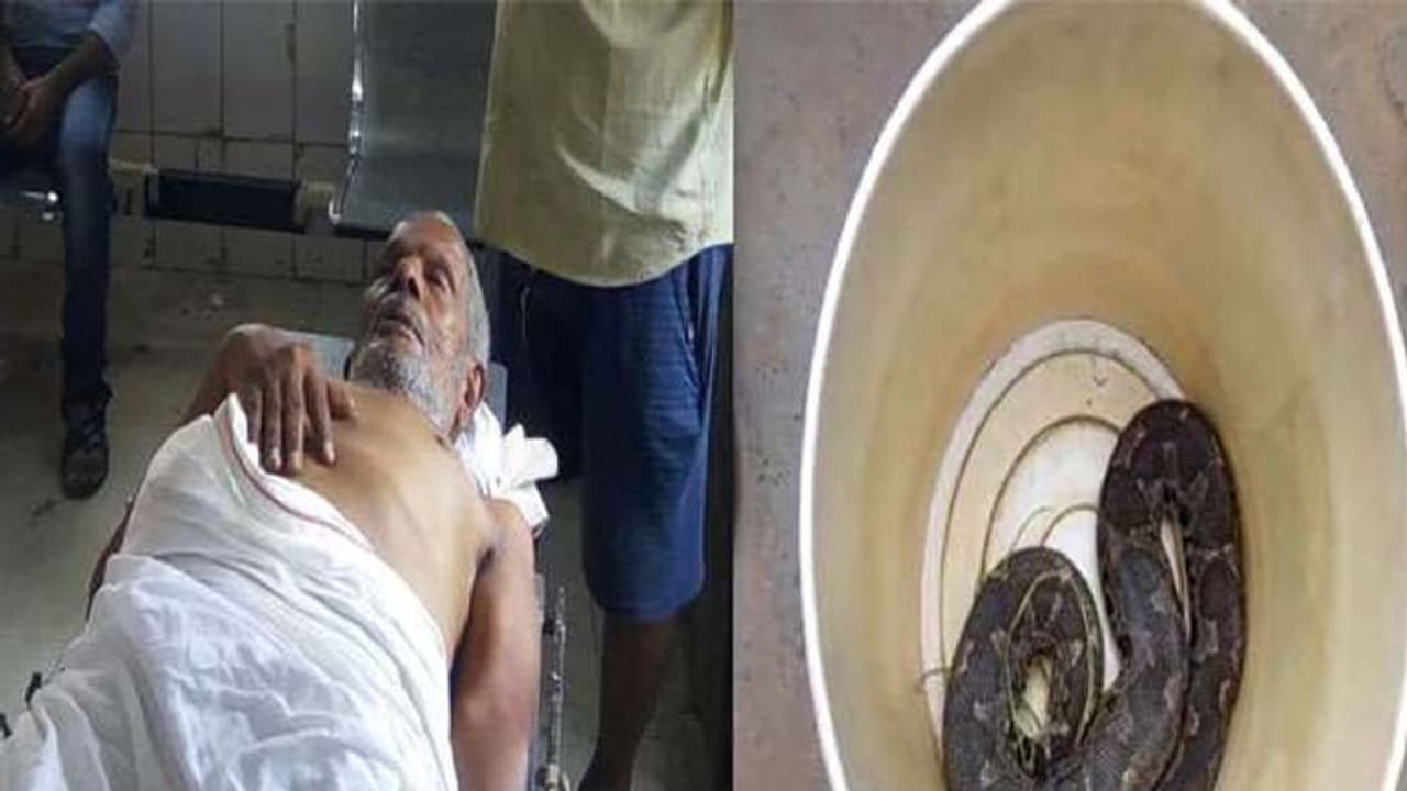 ఏ పాము కాటేసిందో చెప్పడానికి.. పాముతో పాటు ఆసుపత్రికి..!!