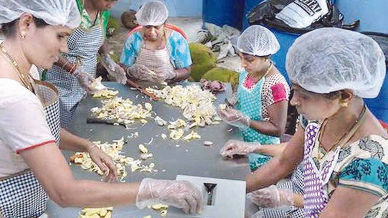 ಒಂದು ಸಾವಿರ ರೈತರಿಂದ ಹಪ್ಪಳ ಕಂಪನಿ ಪ್ರಾರಂಭ ಒಂದು ಸಾವಿರ ರೈತರಿಂದ ಹಪ್ಪಳ ಕಂಪನಿ ಪ್ರಾರಂಭ