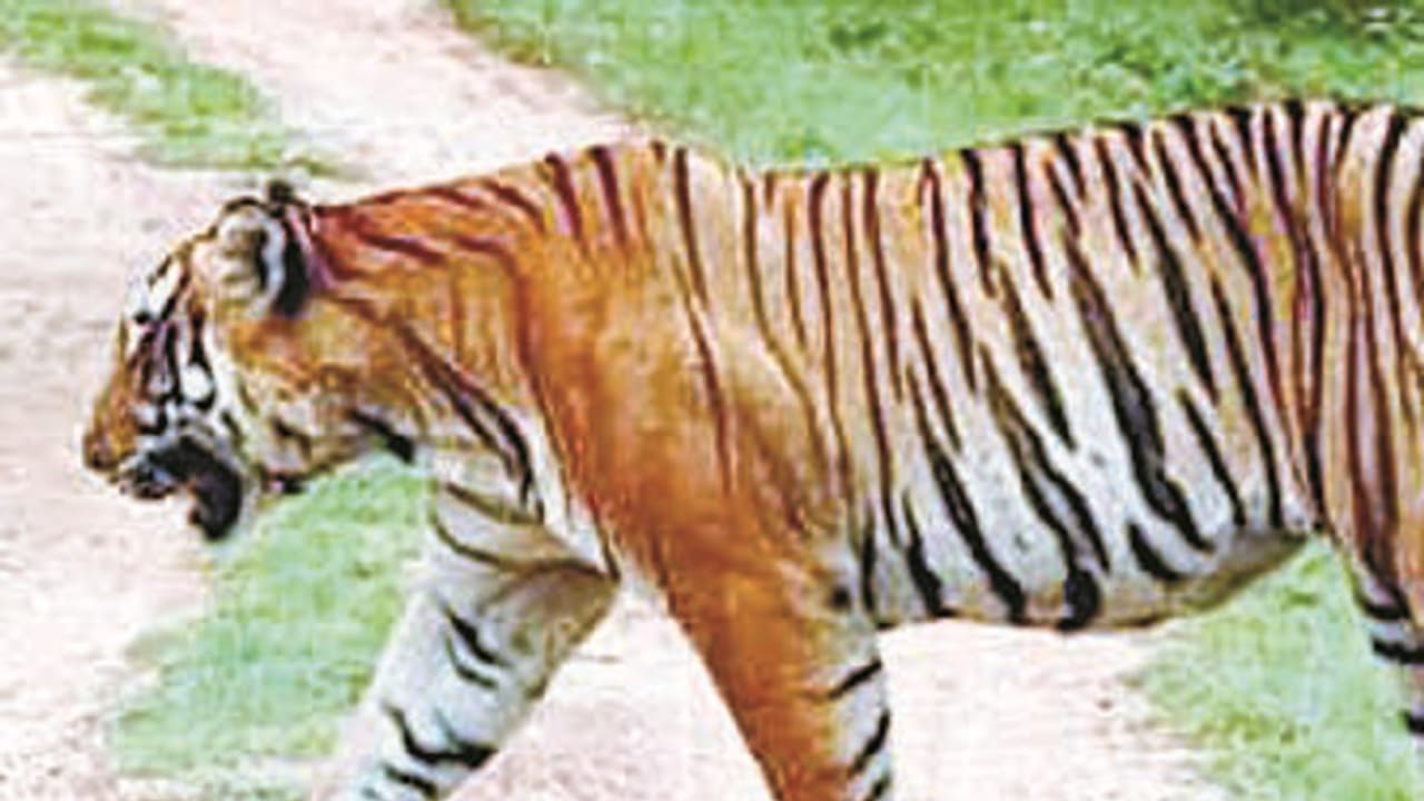 ಭದ್ರೆ ಕರೆಯುತ್ತಿದ್ದಾಳೆ, ಹೋಗಿ ಬನ್ನಿ