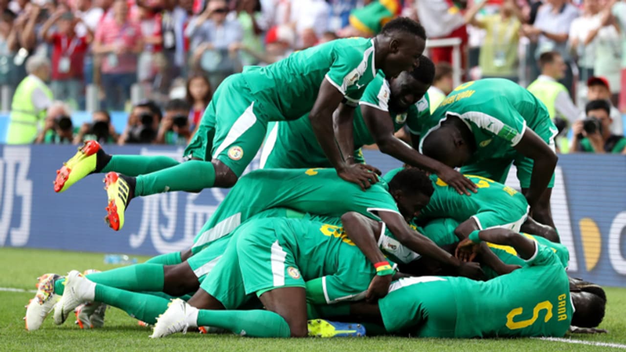 ಸೆನೆಗಲ್ ಗೆ ಸುಲಭ ತುತ್ತಾದ ಪೋಲಾಂಡ್ ಸೆನೆಗಲ್ ಗೆ ಸುಲಭ ತುತ್ತಾದ ಪೋಲಾಂಡ್