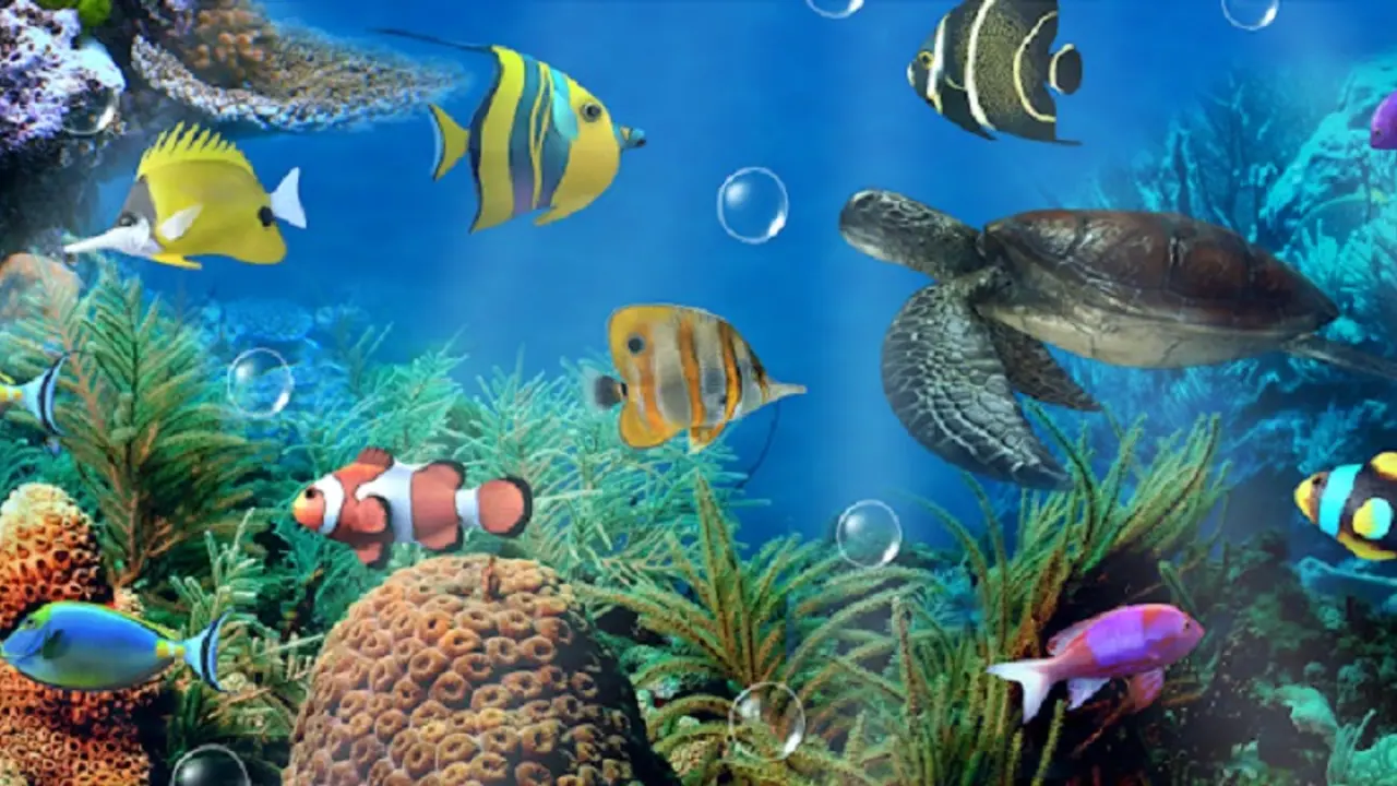 SeaWorld Abu Dhabi to feature world’s largest aquarium