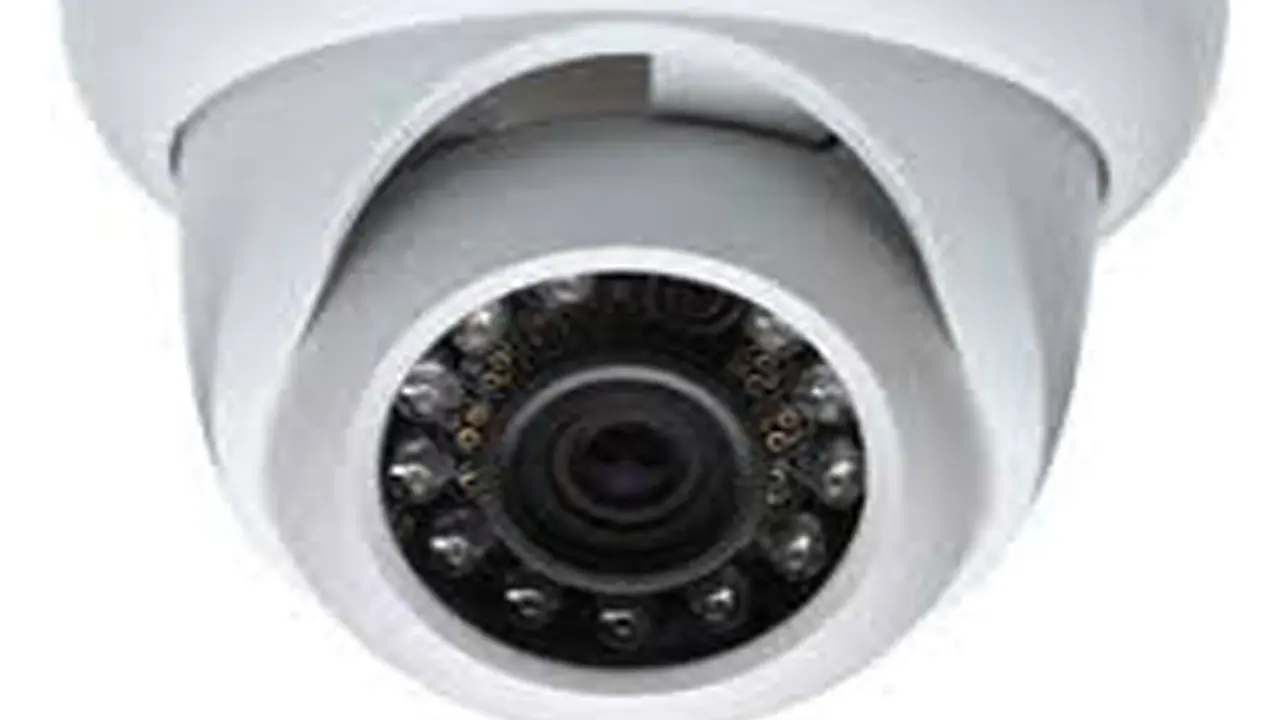 బయో డైవర్సిటీ ఎఫెక్ట్: ఓవర్ స్పీడుగా వెళితే అంతే సంగతులు.. ఎందుకంటే..! బయో డైవర్సిటీ ఎఫెక్ట్: ఓవర్ స్పీడుగా వెళితే అంతే సంగతులు.. ఎందుకంటే..!