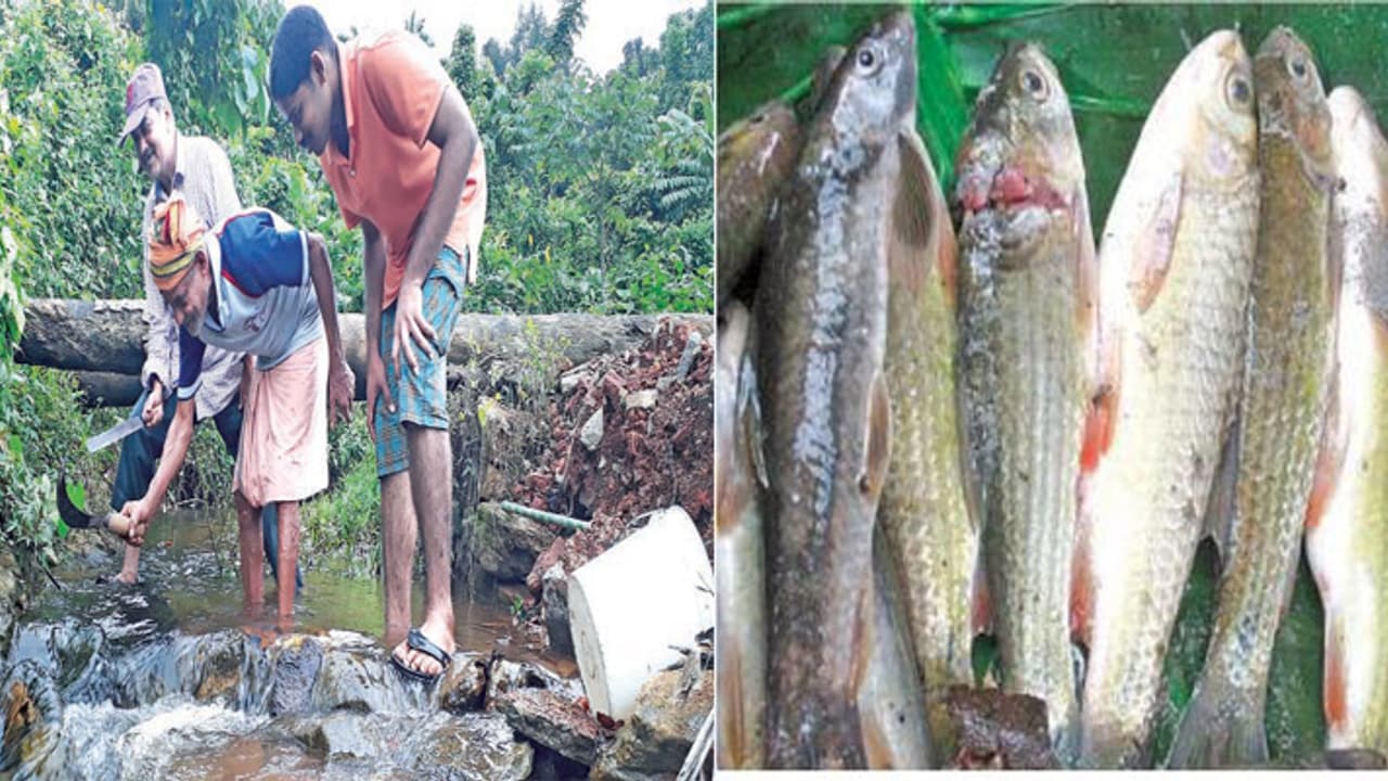 ಮಳೆಗಾಲದಲ್ಲಿ ಮೀನೂಟ ಬಾರೀ ರುಚಿ! ಮಳೆಗಾಲದಲ್ಲಿ ಮೀನೂಟ ಬಾರೀ ರುಚಿ!