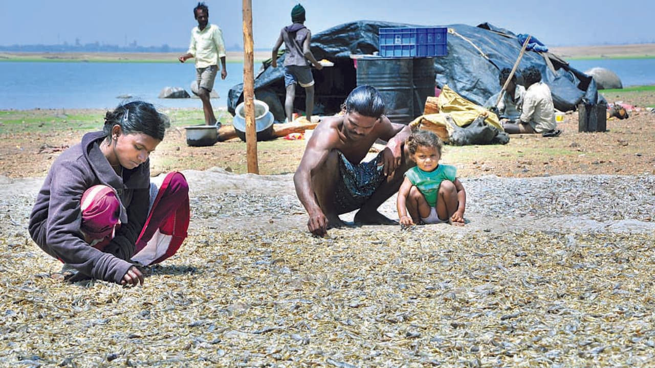 ಹೊರಗೆ ಮಳೆ; ಒಳಗೆ ಬಿಸಿಬಿಸಿ ಮೀನು; ಆಹಾ ಎಂಥಾ ಕಾಂಬಿನೇಶನ್! ಹೊರಗೆ ಮಳೆ; ಒಳಗೆ ಬಿಸಿಬಿಸಿ ಮೀನು; ಆಹಾ ಎಂಥಾ ಕಾಂಬಿನೇಶನ್!