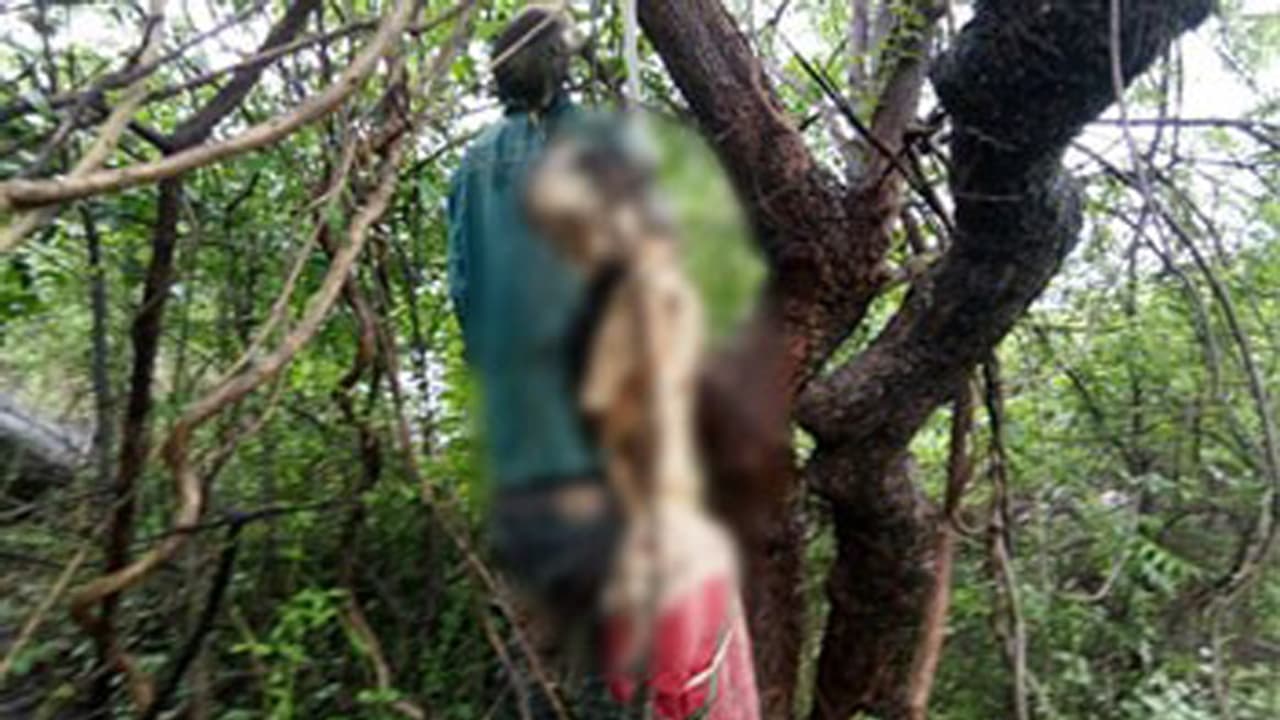 ఉరేసుకుని ప్రేమజంట ఆత్మహత్య... వారం రోజులుగా చెట్టుకు వేలాడుతూనే ఉరేసుకుని ప్రేమజంట ఆత్మహత్య... వారం రోజులుగా చెట్టుకు వేలాడుతూనే