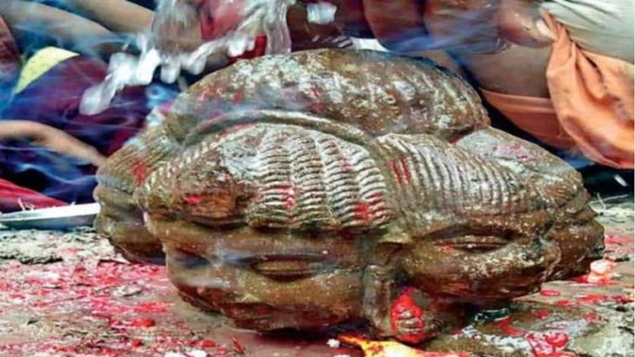 ಉಳುಮೆ ಮಾಡುವಾಗ ಈ ರೈತನಿಗೆ ಸಿಕ್ಕಿದ್ದೇನು ಗೊತ್ತಾ? ಉಳುಮೆ ಮಾಡುವಾಗ ಈ ರೈತನಿಗೆ ಸಿಕ್ಕಿದ್ದೇನು ಗೊತ್ತಾ?