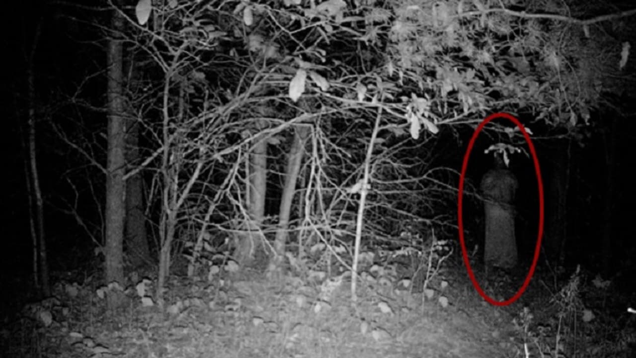 ಉದ್ಯಾನ ನಗರಿ ಬೆಂಗಳೂರಲ್ಲಿ ದೆವ್ವದ ಕಾಟವಂತೆ!