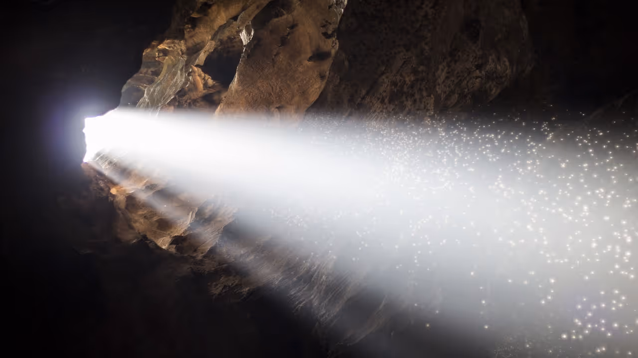 Thailand cave rescue: From Donald Trump to Elon Musk, celebrities salute efforts to save trapped boys Thailand cave rescue: From Donald Trump to Elon Musk, celebrities salute efforts to save trapped boys