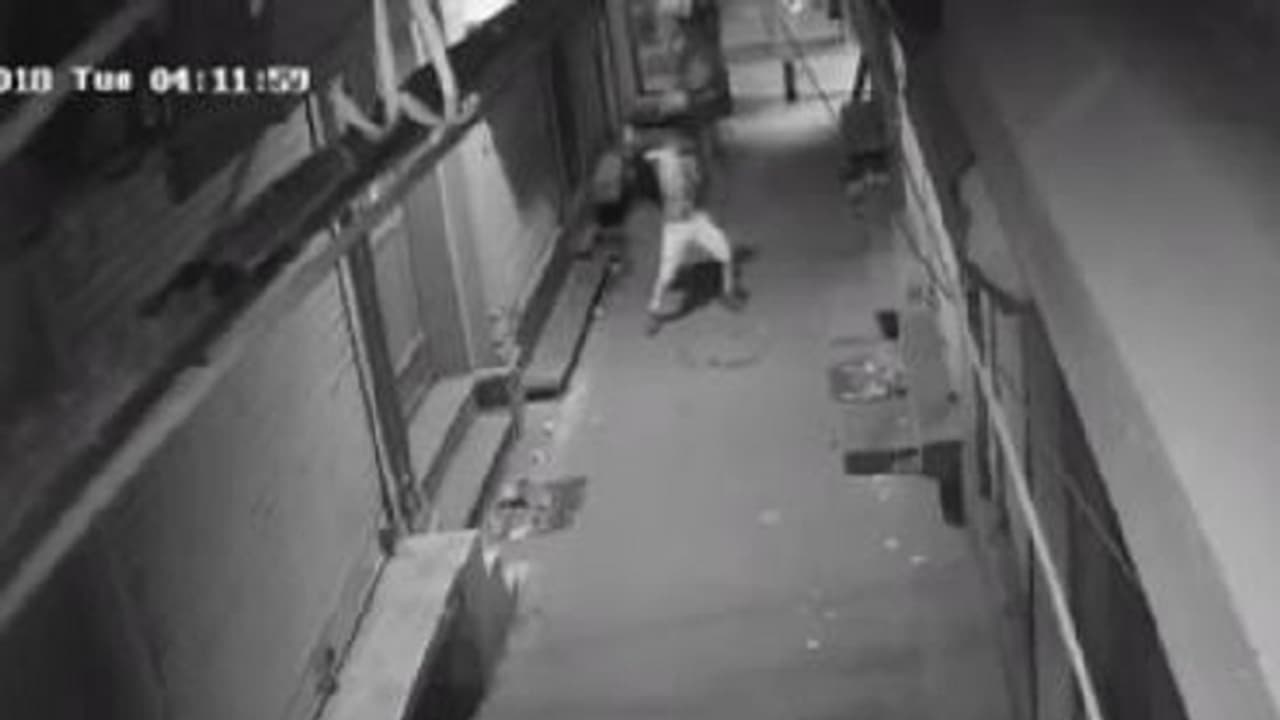 ಬಾಗಿಲು ಮುರಿಯುವ ಮುನ್ನ ಕಳ್ಳನ ಸಖತ್ ಸ್ಟೆಪ್ಸ್: ವೈರಲ್ ವಿಡಿಯೋ ಬಾಗಿಲು ಮುರಿಯುವ ಮುನ್ನ ಕಳ್ಳನ ಸಖತ್ ಸ್ಟೆಪ್ಸ್: ವೈರಲ್ ವಿಡಿಯೋ