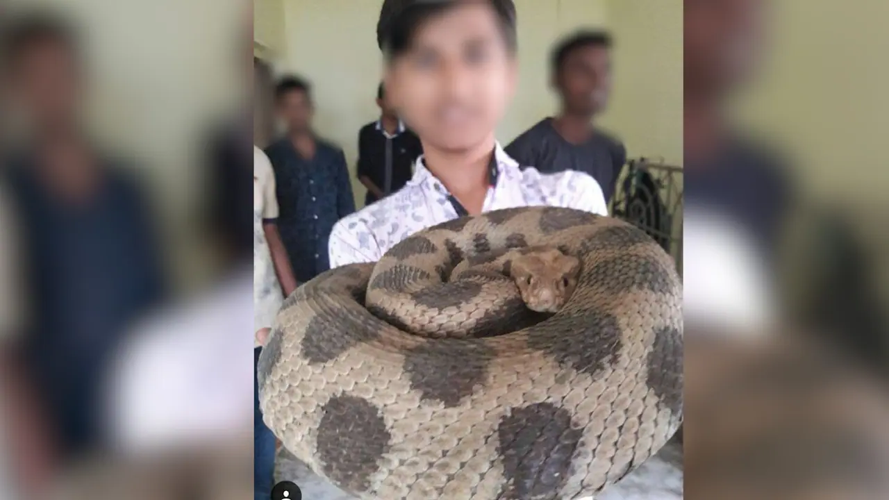 Have a picture with a wild animal? This could land you in jail Have a picture with a wild animal? This could land you in jail