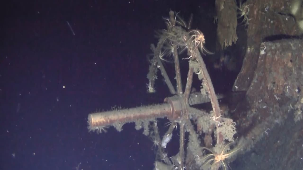 ಸಮುದ್ರದಲ್ಲಿ ಪತ್ತೆಯಾದ ನೌಕೆಯಲ್ಲಿ 895 ಕೋಟಿ ಚಿನ್ನ..ಯಾರಿಗೆ ಸೇರಿದ್ದು? ಸಮುದ್ರದಲ್ಲಿ ಪತ್ತೆಯಾದ ನೌಕೆಯಲ್ಲಿ 895 ಕೋಟಿ ಚಿನ್ನ..ಯಾರಿಗೆ ಸೇರಿದ್ದು?