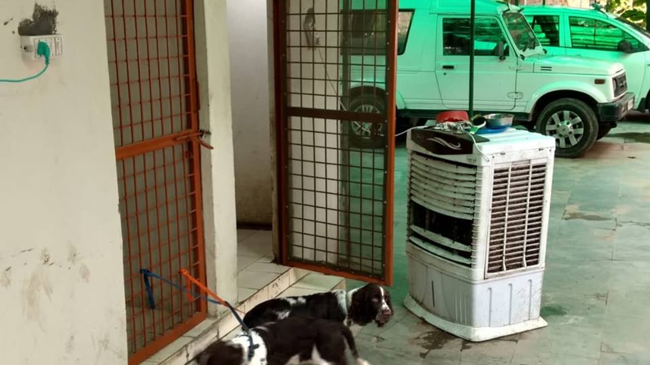 दिल्ली पुलिस के ऑफिस में पल रहे आईपीएस के कुत्ते दिल्ली पुलिस के ऑफिस में पल रहे आईपीएस के कुत्ते