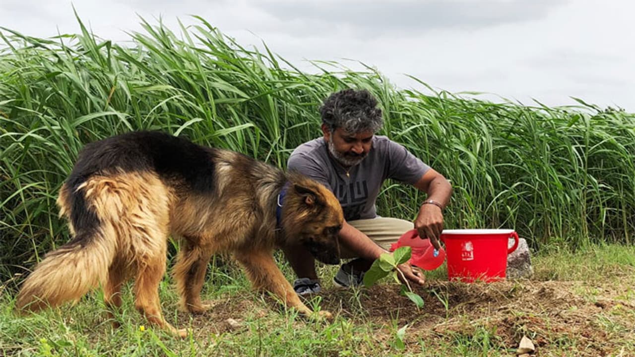 యంగ్ డైరెక్టర్స్ కు రాజమౌళి ఛాలెంజ్! యంగ్ డైరెక్టర్స్ కు రాజమౌళి ఛాలెంజ్!