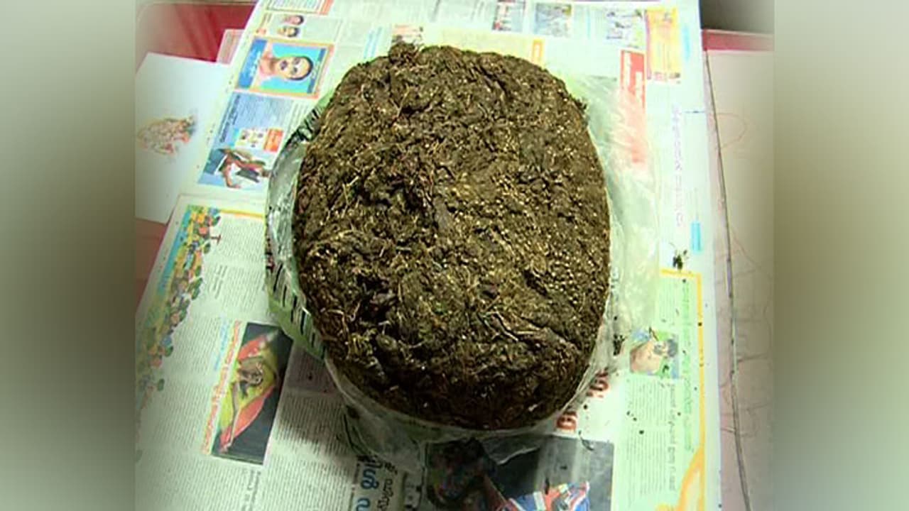 ಈ ಸ್ಟಾರ್‌ಗೆ ಗಾಂಜಾ ಬೇಕಂತೆ: ಕಜ್ಜಾಯ ಆಗುತ್ತಾ ಎಂದ ಪೊಲೀಸರು!