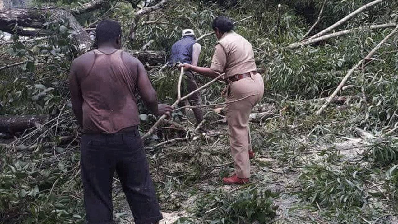 ಮತ್ತೆ ಮಲೆನಾಡಿನಲ್ಲಿ ಮಳೆಯ ಅಬ್ಬರ ಮತ್ತೆ ಮಲೆನಾಡಿನಲ್ಲಿ ಮಳೆಯ ಅಬ್ಬರ