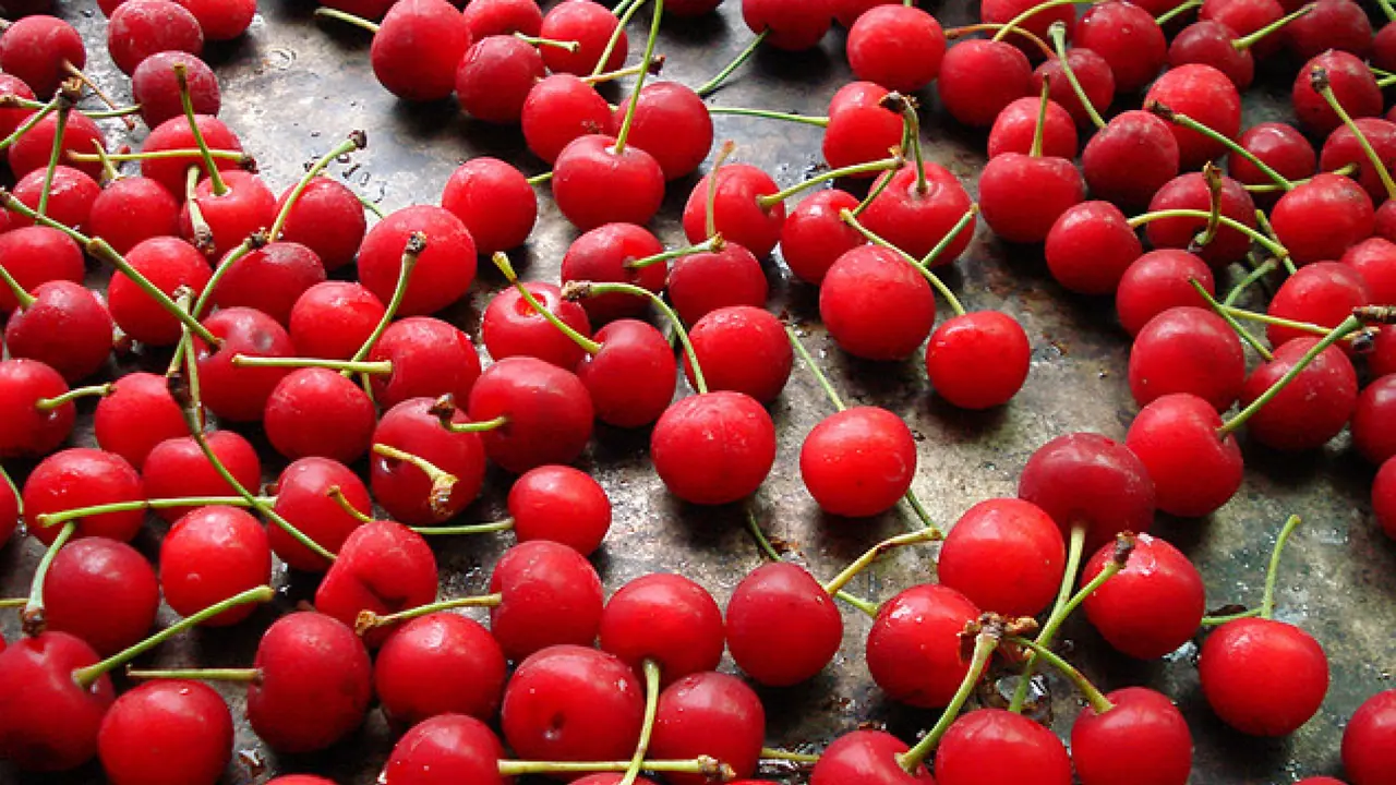 చెర్రీలను తినే అలవాటుందా? అయితే మీరు ఈ విషయాన్ని తెలుసుకోవాల్సిందే.. చెర్రీలను తినే అలవాటుందా? అయితే మీరు ఈ విషయాన్ని తెలుసుకోవాల్సిందే..