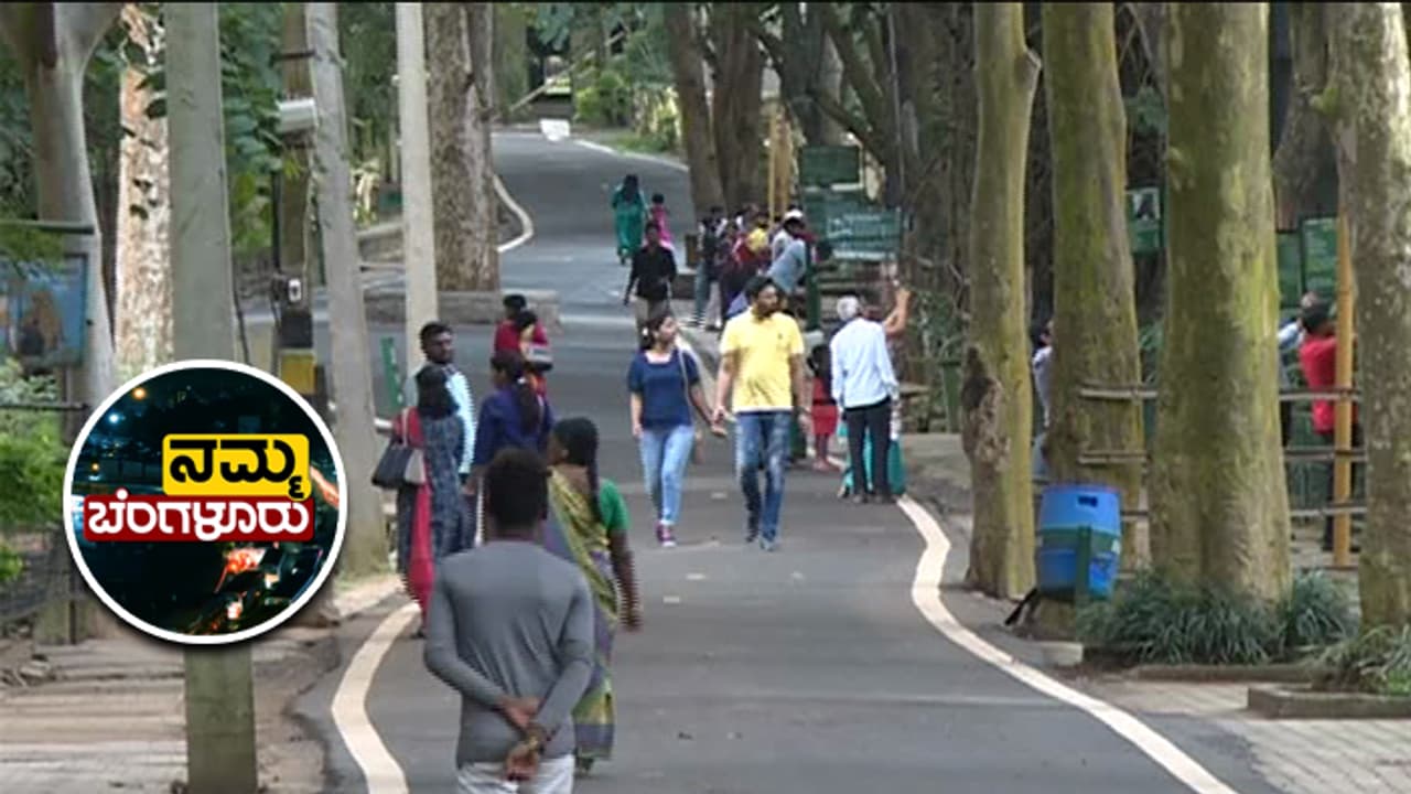 ಬನ್ನೇರು ಘಟ್ಟ ಪ್ರವೇಶ ಶುಲ್ಕ ಹೆಚ್ಚಳ ಬನ್ನೇರು ಘಟ್ಟ ಪ್ರವೇಶ ಶುಲ್ಕ ಹೆಚ್ಚಳ